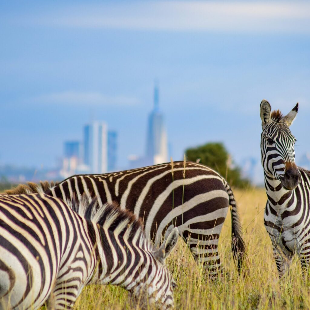 Nairobi National Park
